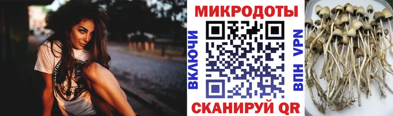 Галлюциногенные грибы MAGIC MUSHROOMS Фрязино