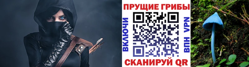 Галлюциногенные грибы MAGIC MUSHROOMS  Фрязино 