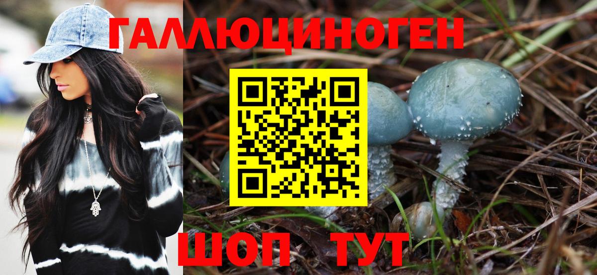 Фрязино  Галлюциногенные грибы мицелий  даркнет сайт  Вход с VPN 